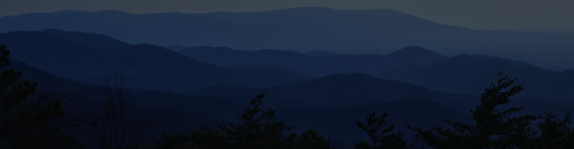 home-services-banner image